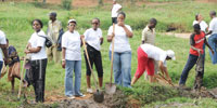 A group of employees during a hygene campaign. (File photo)