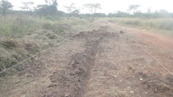 The long stretch along Akagera Park to be fenced off (Photo S. Rwembeho)