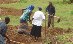 Farmers have been advised to start planting. The Sunday Times /File 