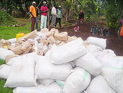 The illicit drugs which were destroyed by Burera District authorities.  The New times /B Mukombozi