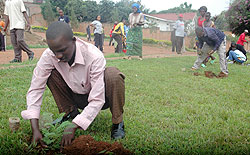 Many trees were planted in the latest drive. The Sunday Times / File