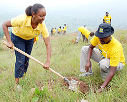 MTN's Senior Manager in Sales and Marketing, Yvonne Makolo, plants one of the 7,000 trees in Mageragera Sector, Nyarugenge District. (Courtesy Photo)