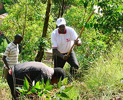 Senate President, Dr. Jean Damascene Ntawukuliryayo during Umuganda yesterday. The Sunday Times/ Timothy Kisambira