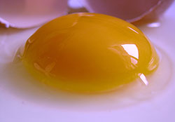 Egg yolk is a good source of vitamin E. Net Photo