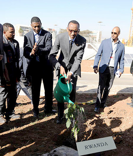 President Kagame waters a tree which he planted in memory of the late Prof. Wangari Maathai, a renowned Kenyan environmentalist, at the newly constructed African Union Conference Centre in Addis Ababa, Ethiopia. The New Times/ Village Urugwiro.