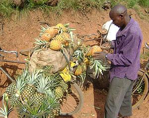 A farmer transports his pineapple produce to the market. Loans are needed to allow more investment in the sector. The New Times / File.