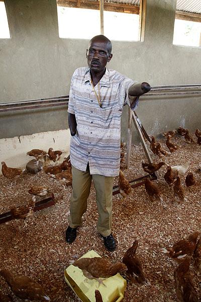 An Ex-combatant in a poultry farm. The Sunday Times / G. Mugoya