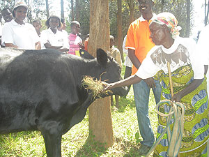 Patricia Mukarugira (R), a beneficary receiving her cow.