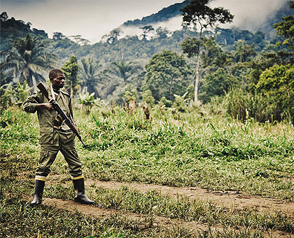 A member of the Mai Mai militia patrols his camp. Net photo.