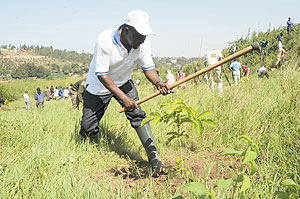 Tree growing campaigns should emphasise follow up for their proper growth.The New Times / File.