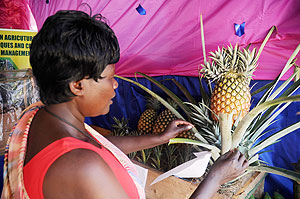 A Pineapple farmer at this yearu2019s agriculture expo last week. The New Times / J.Mbanda 