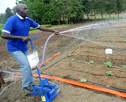 A farmer demonstrates  irrigations crops. The Sunday Times / John Mbanda.