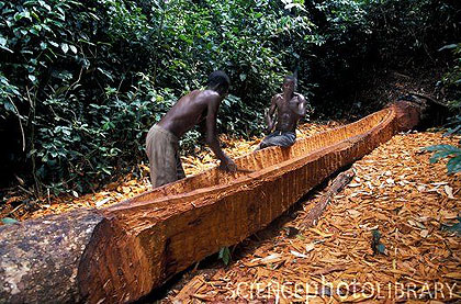 Men curving a tree trunk into a canoe in the tropical Congo Basin forest. Net photo.