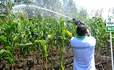 An agriculture technician demonstrates on irrigation.