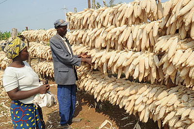 Rwandan farmers admire their harvest of maize. The New Times / John Mbanda.