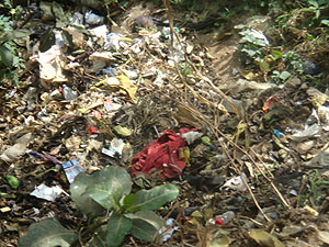 The residents have resorted to dumping garbage in this ditch.  The New Times / JD Mbonyinshutu.