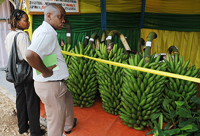 Bananas are most consumed in EAC.