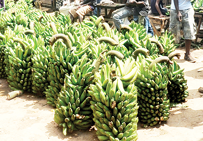 Unstable rains trigger slight rise in food prices. The New Times / File.