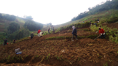 The cummunal exercise to help flood victims of Rubavu district on wednesday. The New Times Sam Nkurunziza.