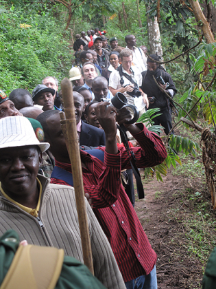 People on the Canopy Walk in Nyungwe. The New Times / John Mbanda.