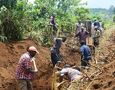 Residents digging the trench which will prohibit the free movement of elephants from the national park to gardens- The New Times / S Nkurunziza.