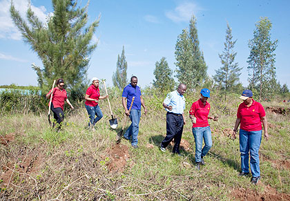 Serena Hotel staff planting trees during Umuganda on Saturday. The New Times / T.Kisambira