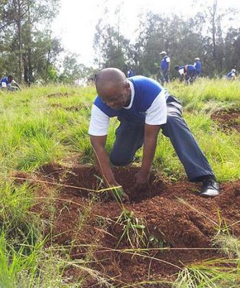 BKu2019s Lawson Naibo planting a tree. The New Times / Courtesy