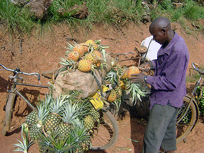 A farmer transports his produce on a bicycle before heading to the market. Horticulture farmers have called for government support. The New Times / File.