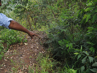 A man points to a thicket where the body of the late Dr. Radjabu Mbukani was found.  The New Times / John Mbanda