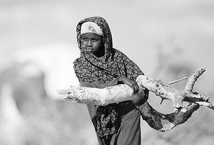 A Somali refugee carries firewood at Ifo Camp of Dadaab Refugee Camp, Kenya, Aug. 6, 2011. Xinhua / Zhao Yingquan