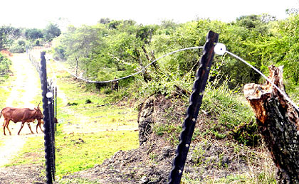 Part of the fence separating Akagera Park from surrounding communities. The New Times/ File