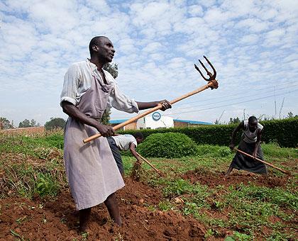 (L-R): Barindinkiko Damien, A 51-year old from Huye, Clementine Nyiranshimiyimana, and Noel Sindikubwabo cultivating in the school garden at Masaka School for the blind. The School that started in 2000 has over 30 blind students from all over the country. Sunday Times / T. Kisambira.