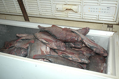 Exporters of perishables like fish will now have a chance to explore new markets. The New Times / File