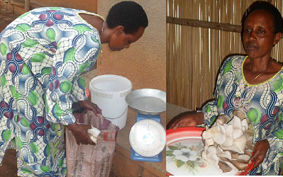 Mbabazi packages some of the mushrooms as she prepares to take them to the market.Mbabazi cleans the mushrooms.  The New Times / Triphomus Muyagu