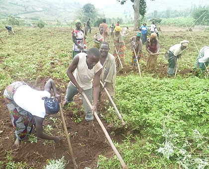 The project will help professionalise farming in the country. The New Times/ File. 