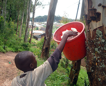 A resident makes use of a roadside trashbin near Kuri Arretu00e9 trading centre. The New Times/JP Bucyensenge. 