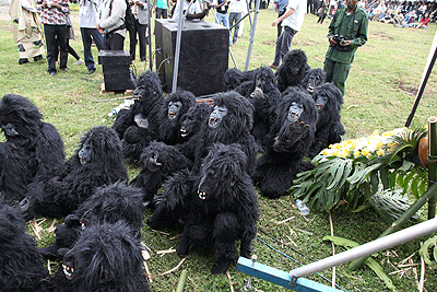 Baby gorillas at a past naming ceremony. The New Times/ File