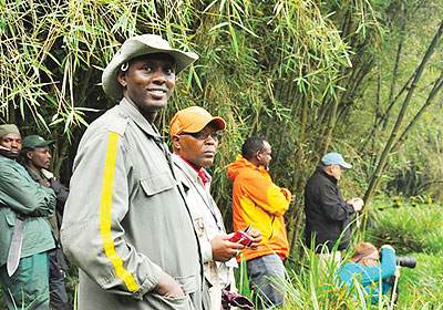 Tracking the gorillas in the jungle. The New Times/Moses Opobo