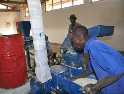 Employees of Twisungane Gatare Coop operate the grinding machine acquired after getting funds from the revenue sharing programme.   The New Times/ Jean Pierre Bucyensenge