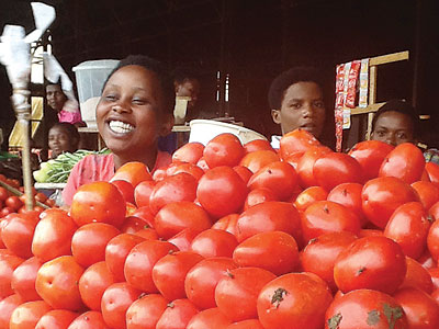 Tomato prices have hit the roof top in the east. The New Times/Seraphine Habimana