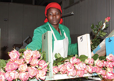 Rwanda is promoting non-traditional exports like flowers to boost its balance of payments receipts. The New Times / File