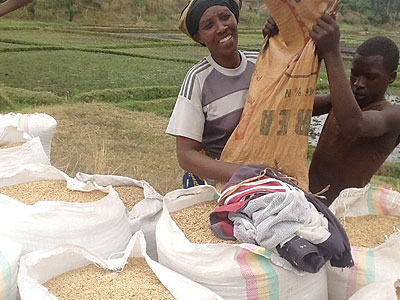 Nyirakamana and her employee package rice. The New Times / Peterson Tumwebaze