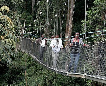 Canopy walk in Nyungwe forest. The Sunday Times, File.