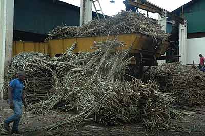 A Kabuye Sugar worker loads cane onto a truck. The firmu2019s sister company in Uganda has issued a Rwf20.5b bond. File photo