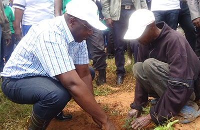 Prime Minister Habumuremyi joins a local resident in Mushishiro Sector in planting trees  last Saturday. The New Times/ Courtesy.