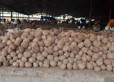 Irish Potatoes in Musanze market. Experts are devising ways of  boosting Irish potato production. The New Times/ Courtesy.