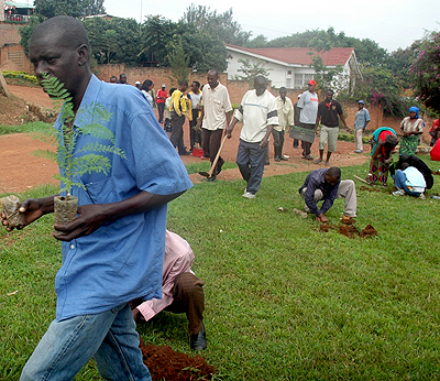 Rwandans during a past tree-planting exercise. The Government says it wants forests to cover at least 30 per cent of the countryu2019s surface as part of broader efforts to rollback effects of global warming. The New Times/File.