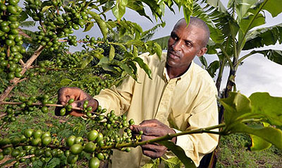 Rwandans are more concerned with how to earn their daily bread.  File photo. 