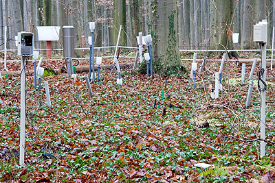 A wireless sensor network monitors microclimate in a forest. It records data such as soil and leaf moisture and air temperature. Net photo.