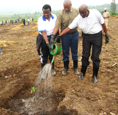 L-R; Gahonzire, Kayonga and Kagisha water a fruit seedling after planting. Athan Tashobya.